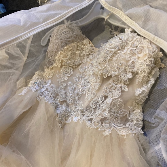 Randy Fenoli Wedding Dress - Picture 3 of 3